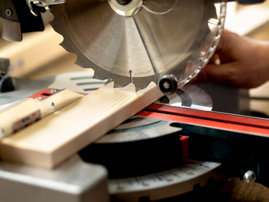 100%NL Magazine BISON