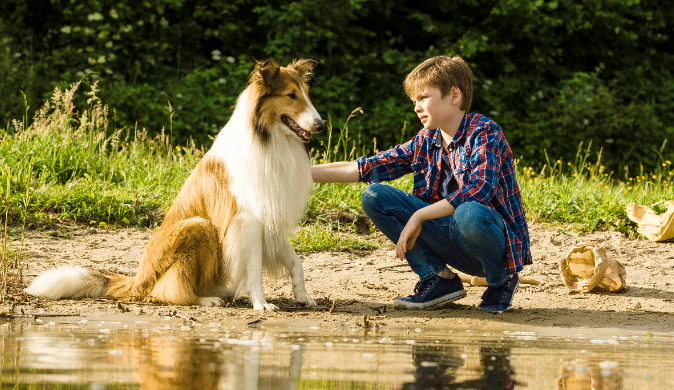 GESLOTEN: Maak kans op 4 kaartjes voor de film Lassie!