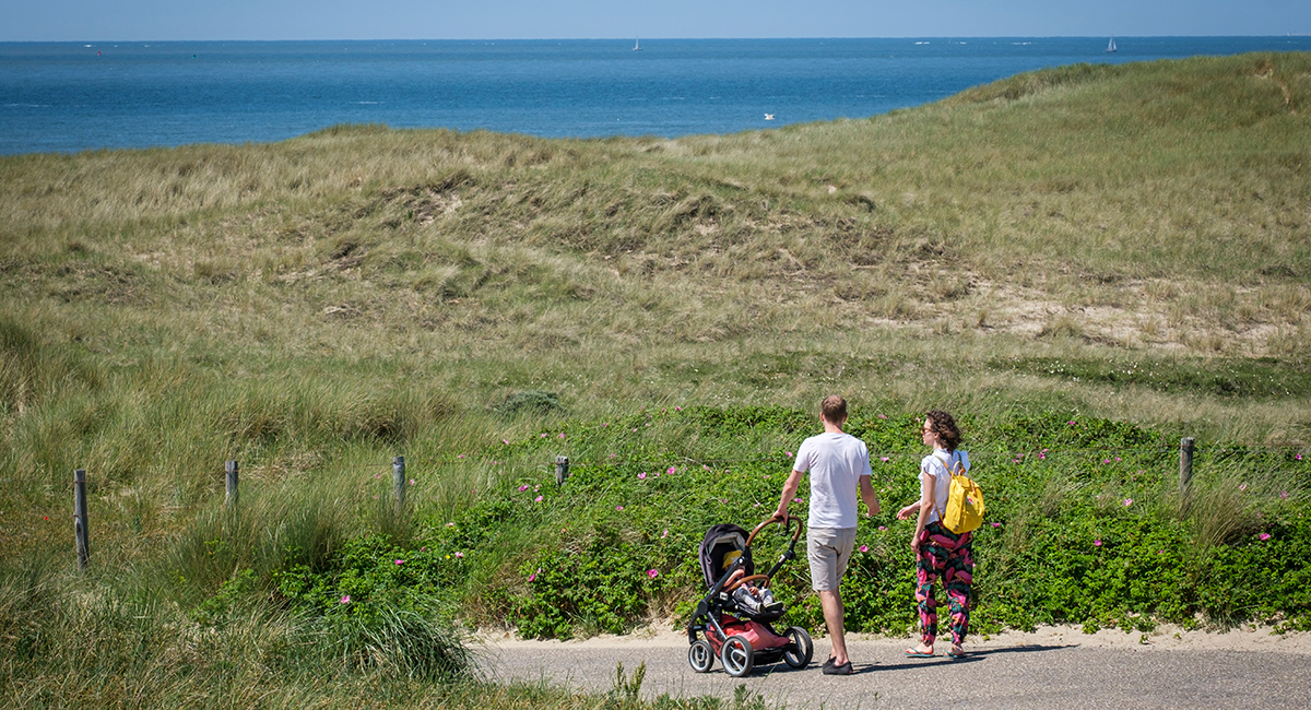 De leukste wandelroutes in Noord-Holland | 100%NL Magazine
