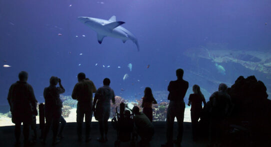 100%NL Magazine Burgers' Zoo