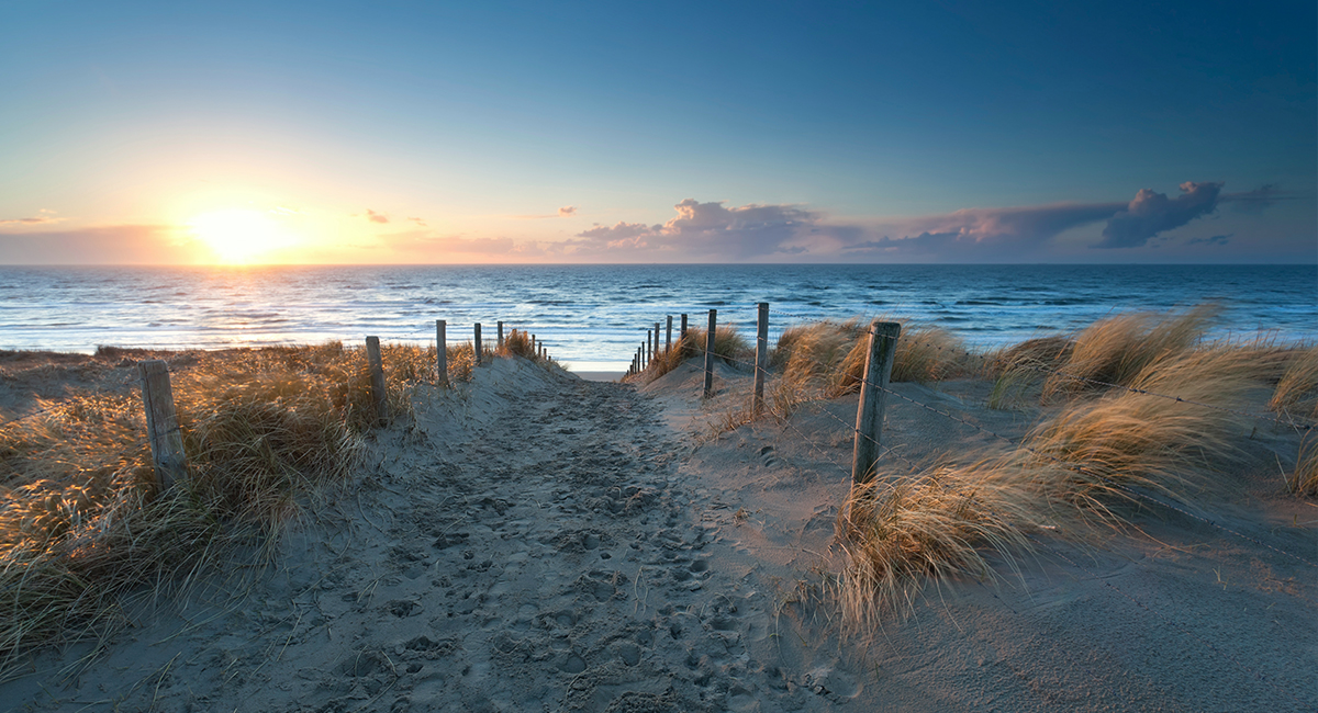Zwijgend Geef energie ozon Dit zijn de mooiste stranden van Nederland! - 100%NL Magazine