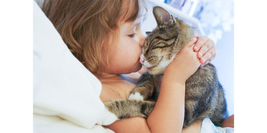 100%NL Magazine Dierenbescherming kat