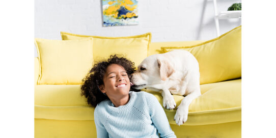 100%NL Magazine Dierenbescherming hondkind