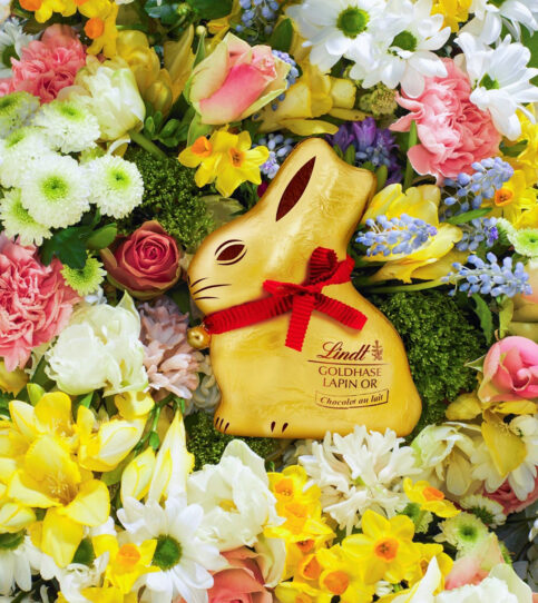 100pmagazine_goldbunny2