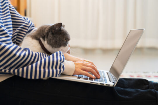 100%NL Magazine Pets Place Kat op werk