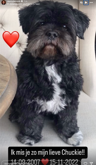 100%NL Magazine hondje Danny de Munk
