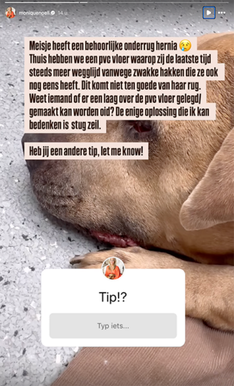 100%NL Magazine Gioia