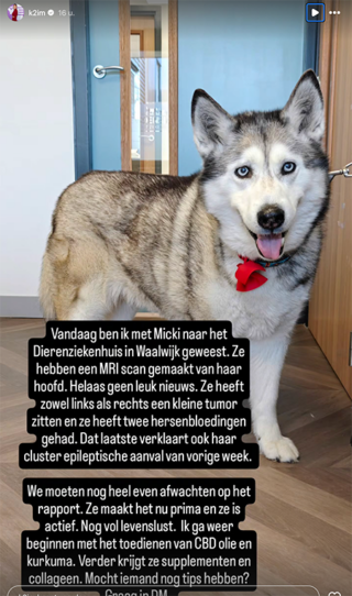 100%NL Magazine Kim Feenstra hond