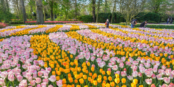 100%NL Magazine Keukenhof