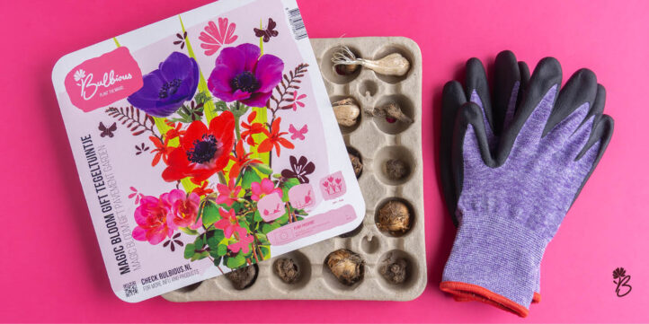 100%NL Magazine - Bublious - tegeltuintje 2