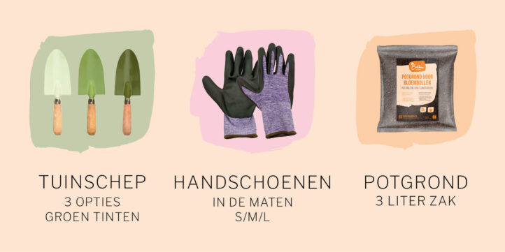 100%NL Magazine - Bublious - tegeltuintje 4