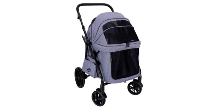 100%NL Magazine - buggy hond en kat