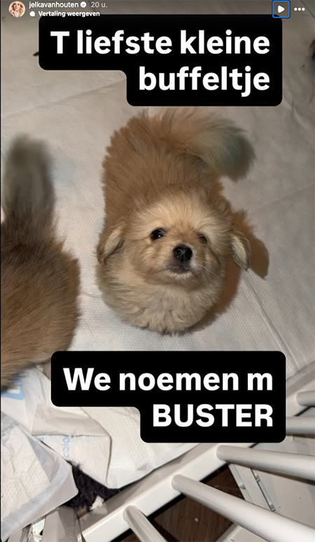 100%NL Magazine Jelka van Houten