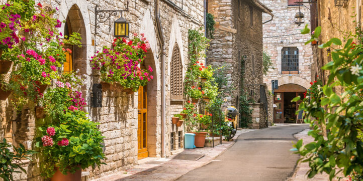 100%NL Magazine - assisi